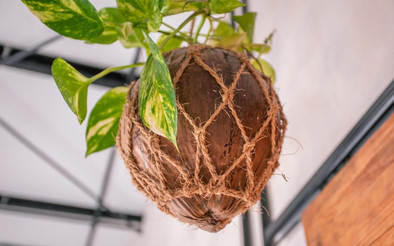 Tranquil Nest Vaavu Hotel Rakeedhoo Bagian luar foto